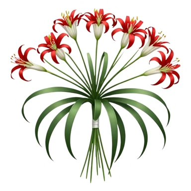 Bouquet of spider lilies ￼ sticker