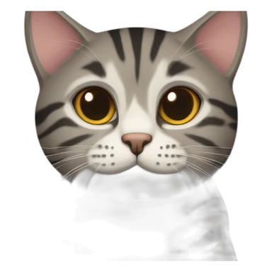 european cat with dark pinstripe tabby color and dark wool sticker