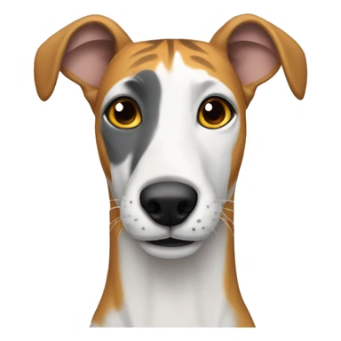  tiger greyhound with grey nose sticker