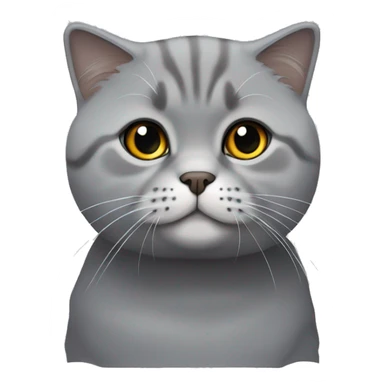 Grey Scottish fold cat sticker