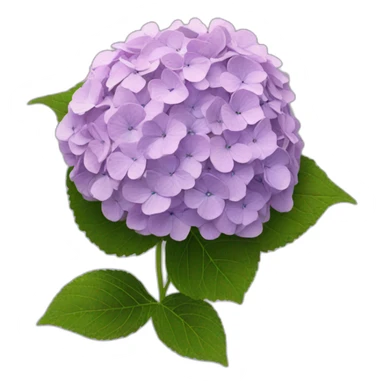 hydrangea sticker