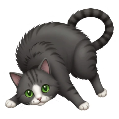 solid dark grey cat with green eyes, white toes/paws playfully rolling upside down sticker