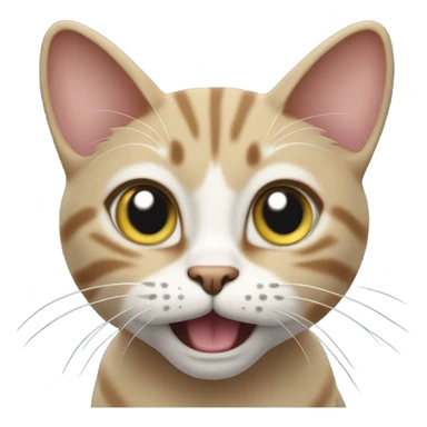 Cat saying for real sticker