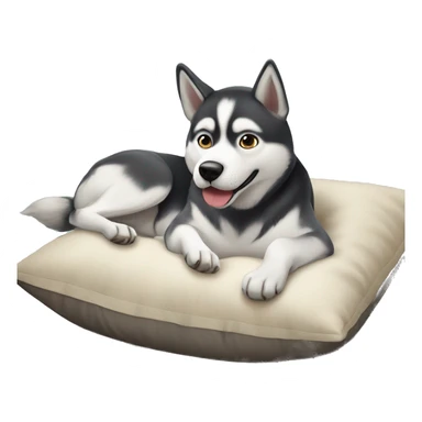 Husky dog lay on a pillow sticker