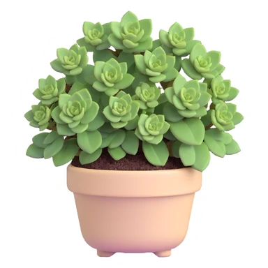 Sedum Pachyphyllum succulent with chubby blue-green leaves in a beige pot sticker