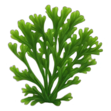 seaweed for sushi sticker