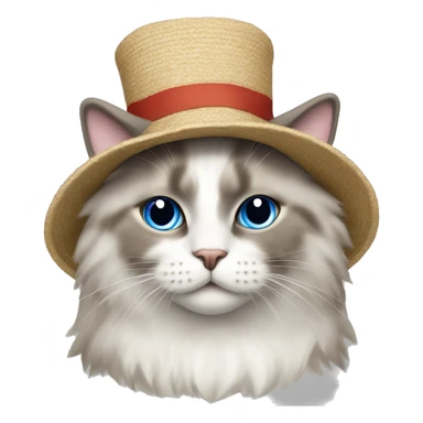 Ragdoll cat with a hat that says “Bongus” sticker