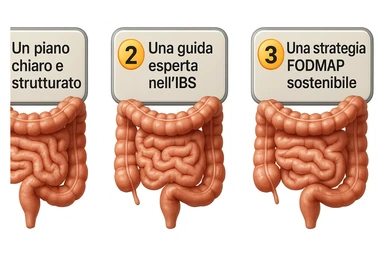 emoji stile iphone di 3 targhette numerate con intestino realistico davanti ad ogni targhetta, le targhette sono:
"1 – Un piano chiaro e strutturato
2 – Una guida esperta nell’IBS
3 – Una strategia FODMAP sostenibile"
, iperrealistico 4k sticker