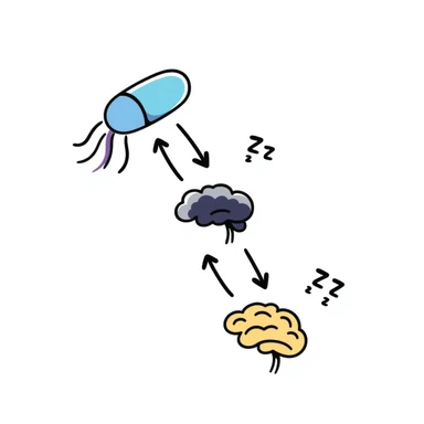 Hand-drawn sedative medication concept: blue pill releasing purple calming waves toward a yellow brain that's gradually turning dark blue (sleeping). Small ZZZ sleep icons floating above. Simple diagram with arrows showing sedative pathway from pill to sleep state. sticker