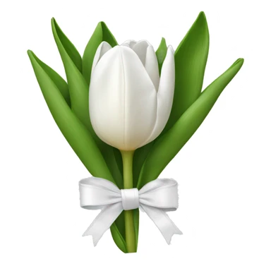 white tulip bouquet  with a white bow sticker