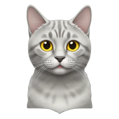 Silver marble Scottish straight cat with yellow eyes sticker
