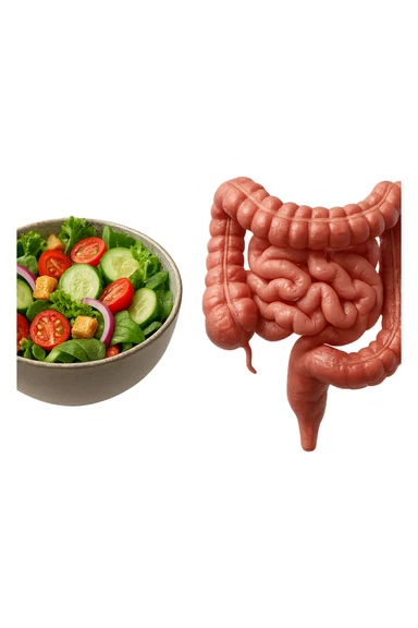 bowl di insalata fluttua in aria insieme ad intestino umano anatomico realistico, IPERREALISTICO 4K sticker