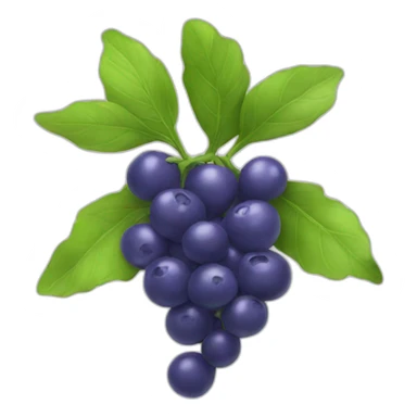 antioxidant sticker