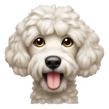 Caniche dof sticker