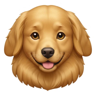 Dog's Admission, Documentation & Health
Requirements sticker