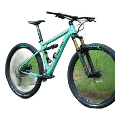 Bianchi kuma 26.5 sticker