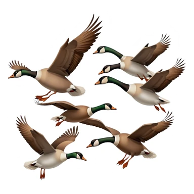 small Canadian geese flying in a classic V formation, lead goose at the right, easily identifiable as Canadian geese, for encouragement sticker