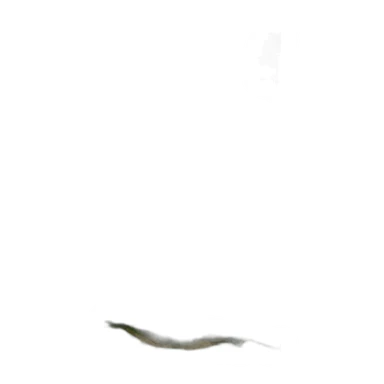 Cameron-highlands-malaysia sticker