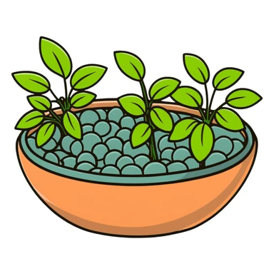 Shallow ceramic dish garden with Plectranthus Verticillatus sprouts featuring circular penny-shaped leaves arranged with decorative stones sticker