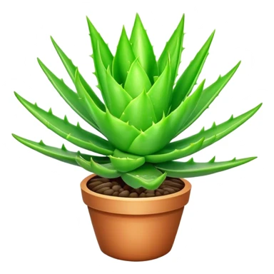 Cinematic Realistic Aloe Vera Emoji, Plump and succulent, with thick, fleshy leaves arranged in a star-like rosette. The vibrant green leaves have a slightly spiky texture, exuding a sense of resilience and healing. Soft glowing outline, capturing the essence of natural wellness and desert vitality in a flourishing aloe vera plant! sticker