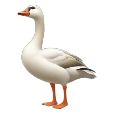 goose sticker
