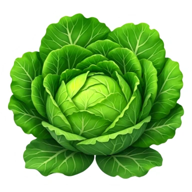 Cabbage sticker