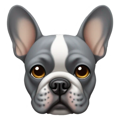 Grey french bulldog face with tan circular eyebrows sticker
