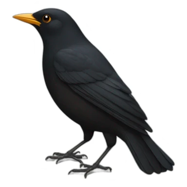 blackbird sticker