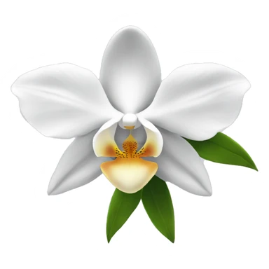 White Orchid sticker