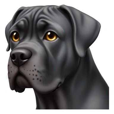 A cane corso sticker