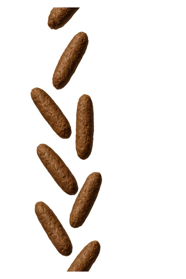 FECI DI ANIMALE A PALLINE UN PO' ALLUNGATE CADONO DALL'ALTO VERTICALMENTE, IPERREALISTICO 4K sticker