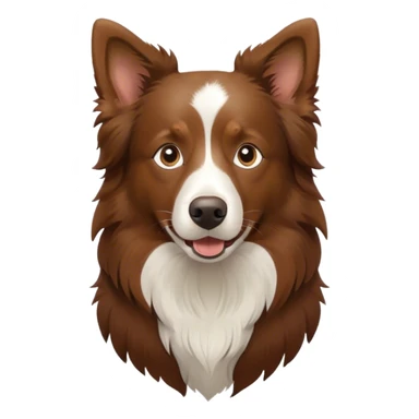 Brown boarder collie sticker