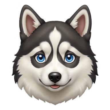 Un husky sibérien noir et blanc  sticker