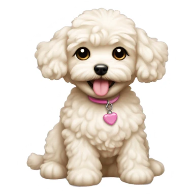 Maltipoo dog girl creamy colour with toy in her teeth sticker