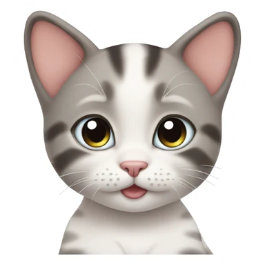 baby cute cat sticker