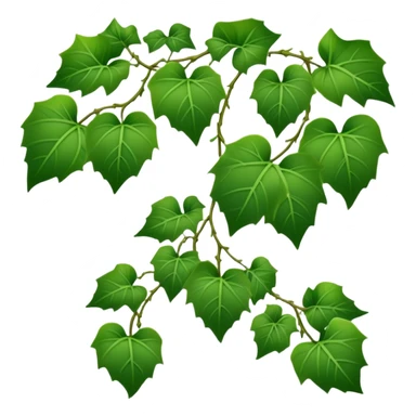 green ivy vine with leaves sticker