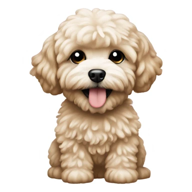 Create an emoji featuring a Maltipoo puppy. sticker