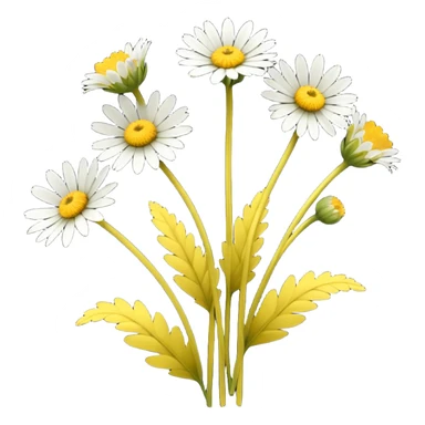 Tussilago farfara flowers sticker
