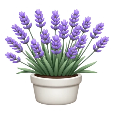 White lavender  sticker