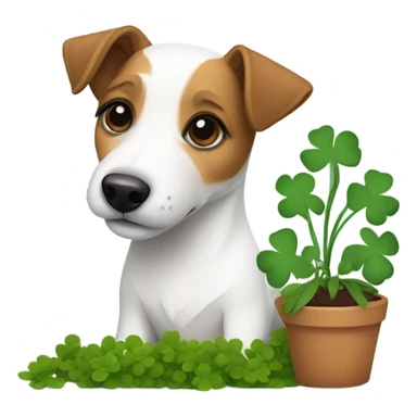 Jack Russel Terrier with Cloverleaf  sticker