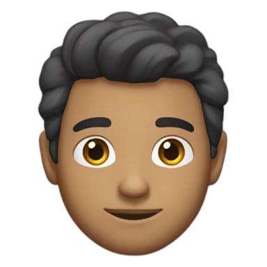 renaul logan blanco sticker