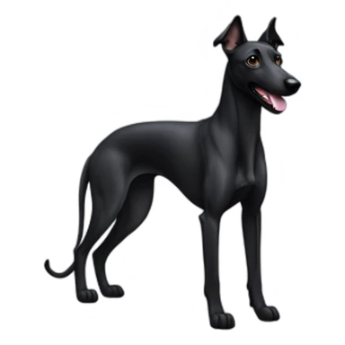 Black color greyhound malinois sticker