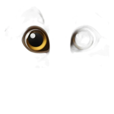 fée chatain et blache avec les yeux noisette sticker