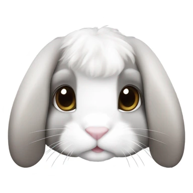 A holland lop bunny with a sable point coloring. White and gray. And spikey hair sticker