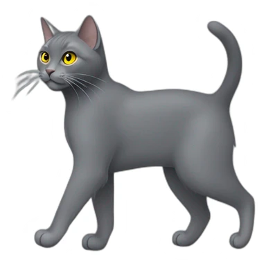 cuddly fluffy grey korat breed cat with yellow eyes black pupils, walking and playing female sticker
