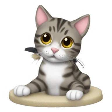 1 tabby cat playing on black cat tree sticker
