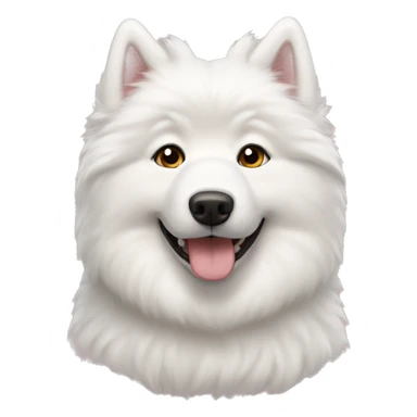 Two couple samoyed  sticker