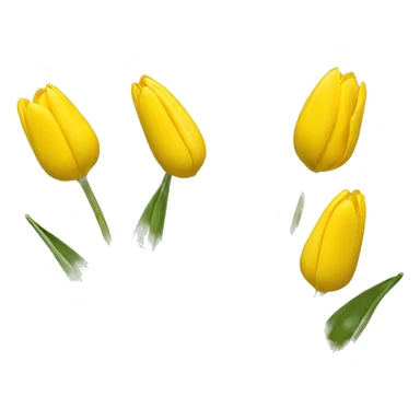 tulipan yellow sticker