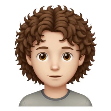 boy,  brown hair, curly hair, brown eyes, pale skin, , hair sticker