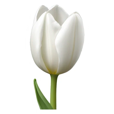 White tulip  sticker